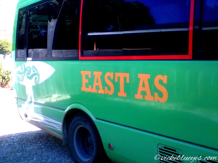Kiwi East as Bus